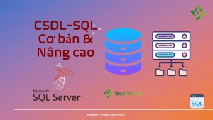 Khóa Học Csdl Sql Thân Triệu Từ Cơ Bản Đến Nâng Cao