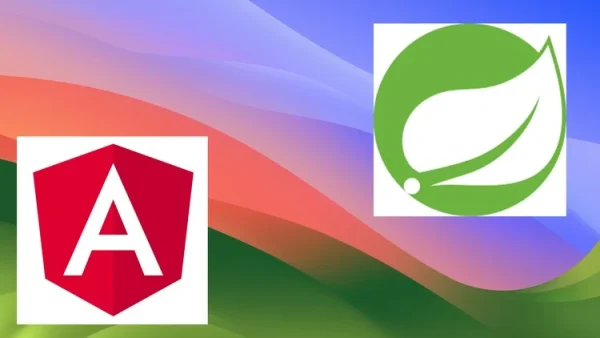 Viết Ứng Dụng Bán Hàng Với Java Springboot/Api Và Angular