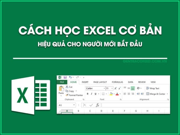 Hoc-Excel-Co-Ban