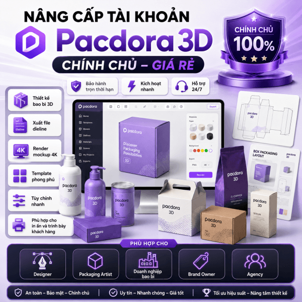 Nâng Cấp Tài Khoản Pacdora 3D Chính Chủ